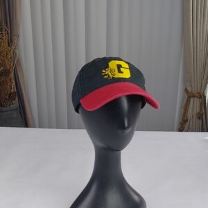 Harry Potter Gryffindor Hat